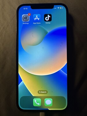 TikTok iPhone 12 Pro Max
