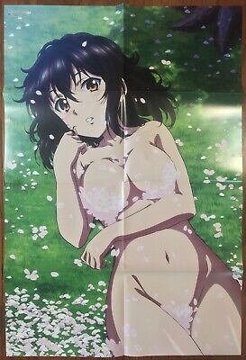 Girls und Panzer Strike The Blood Is the Order a Rabbit? Promo 2 Posters FS  +TN