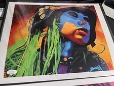 Shotzi 11x14 Signed Original Schamberger Jsa Certified 