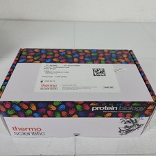 Thermo A43888 Strisce Piastra Senza Endotossine Pierce 60x8 Pozzetto e Telaio Piastra