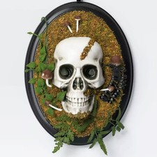 Target 14" Hanging Framed Skull Halloween Decorative Prop - Hyde EEK