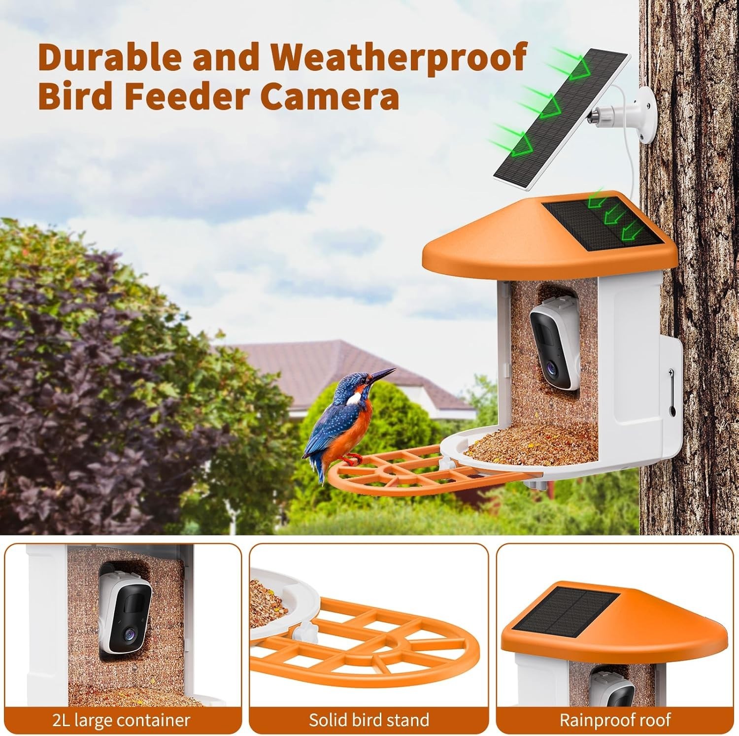 Smart Bird Feeder with Camera: AI Identification & Night Vision for Bird Lovers