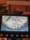 2020 Lincoln Shield Cent Error Penny — photo 5