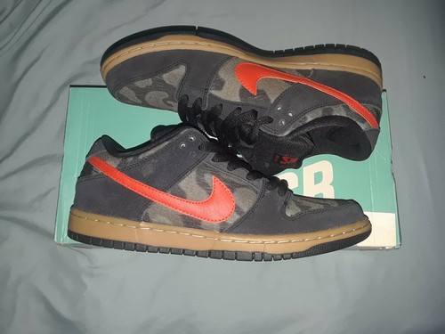 nike dunk brian anderson