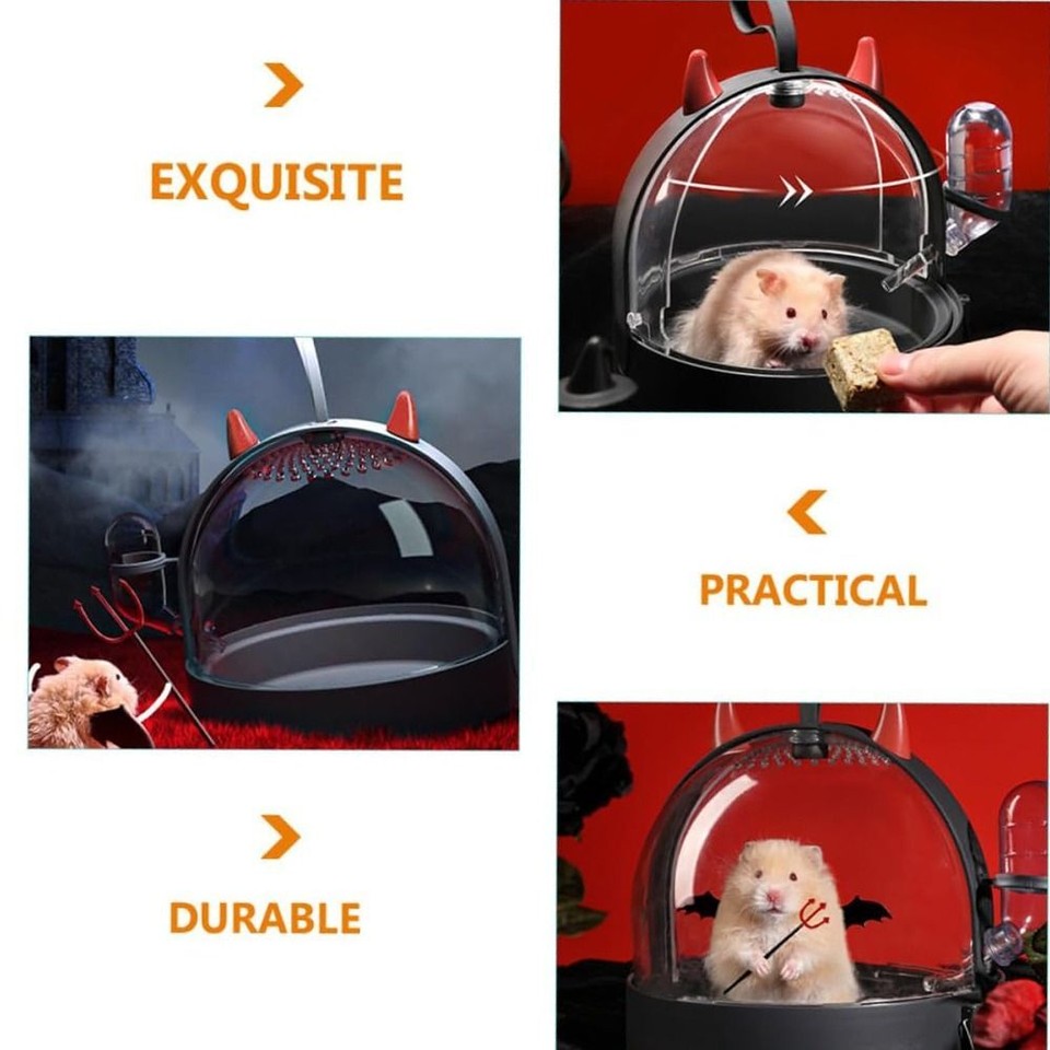 Transparent Small Pet Carrier Water Bottle Hamster Carry Box Travel eBay