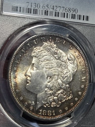 1881 S $1 Morgan Dollar PCGS MS65 Toned