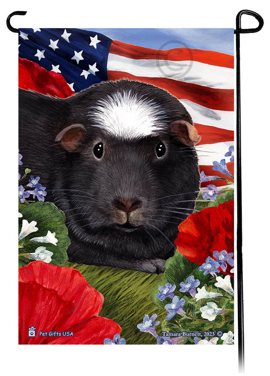 Cute guinea pig in vegetable garden | Premium Photo