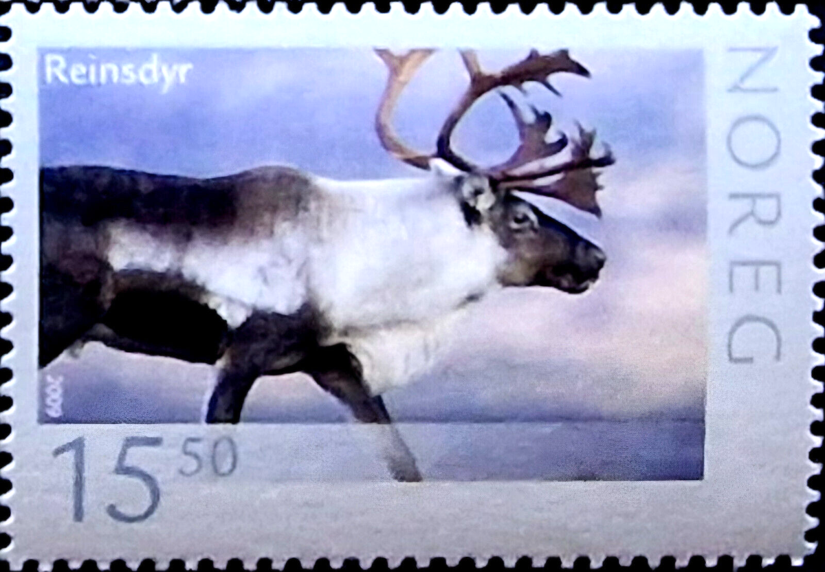 Norway Wild Animals North Deer MNH Stamp
