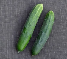 30+Marketmore 76 CUCUMBER Seeds Organic Vegetable Garden Patio Container Easy