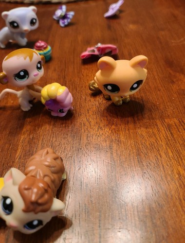 Littlest Pet Shop #1664 1665 1666 1667 1668 1669 1670 1671 1672 73 74 75 Hat Box - Picture 2 of 11