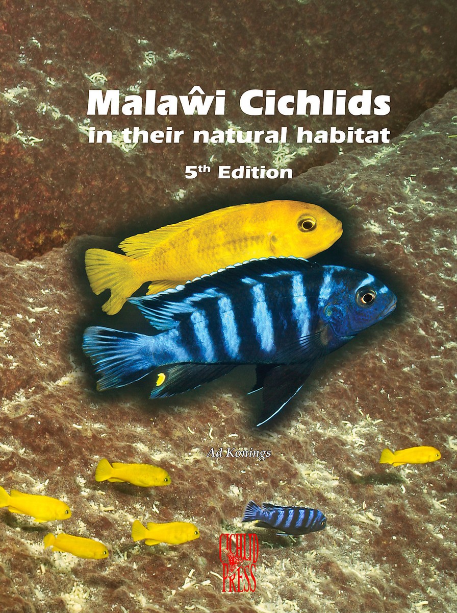 洋書　Malawi Cichlids マラウイ シクリッド 洋書 Malawi Cichlids マラウイ シクリッド 洋書 マラウイ