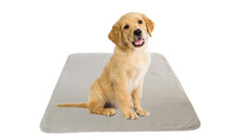 2 - Puppy Training Washable Pee Pads Heavy Duty Super Absorbent Carpet/Seat/Rug