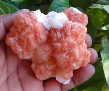 Stilbit Blume Auf Apophyllit Mineralien Exemplar Indien BO=9