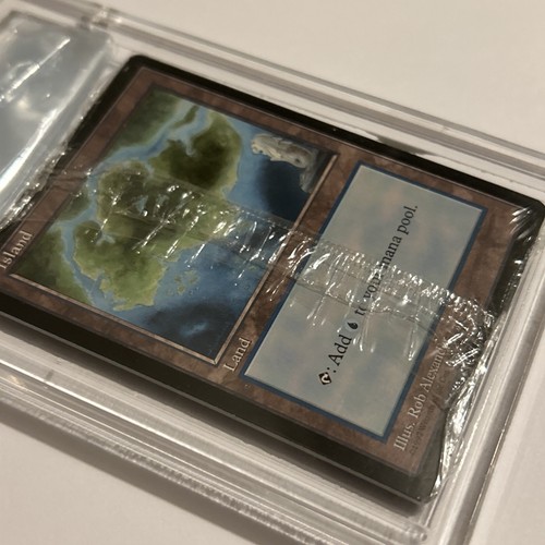 CLEAR APAC Promo Set Of 5 Different Basic Land Factory Sealed MTG - Picture 3 of 3