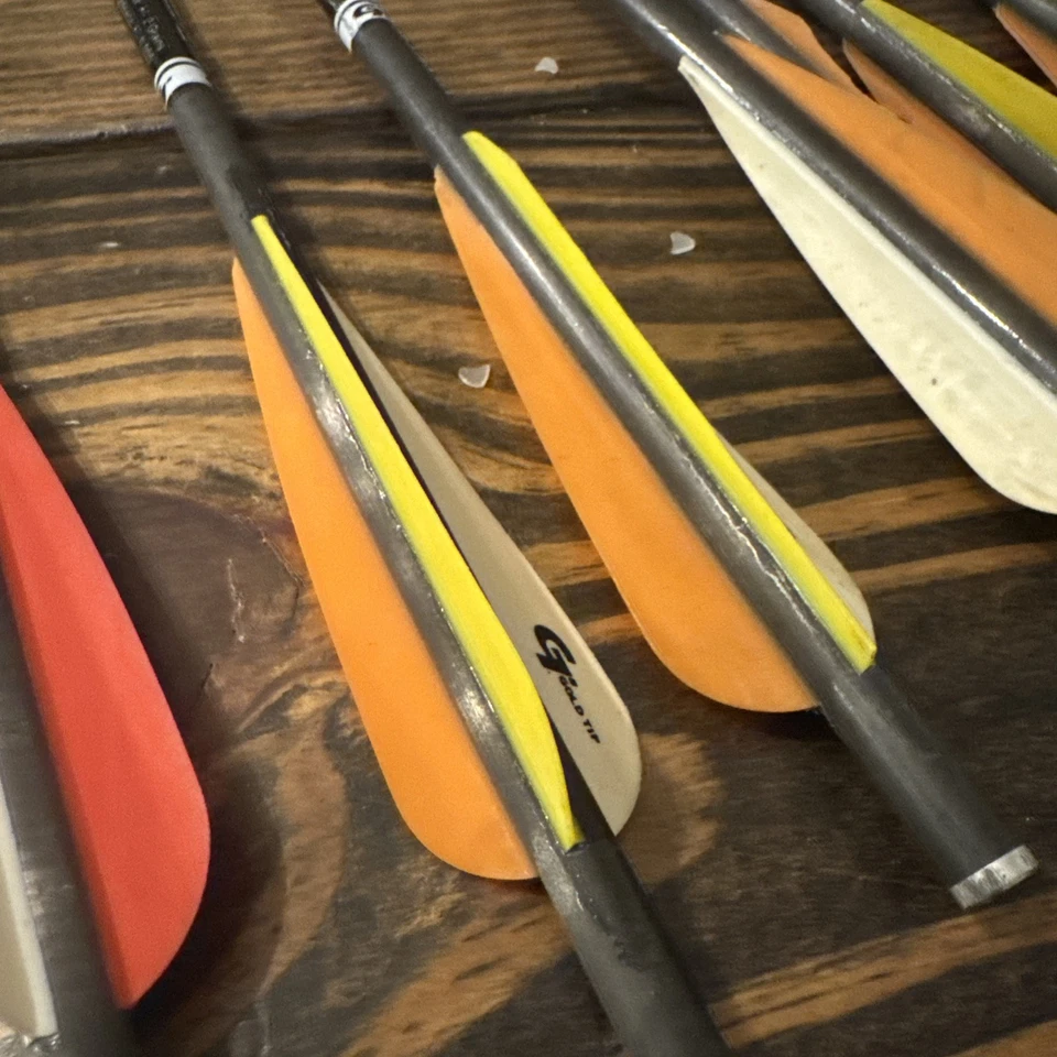 5 láser punta dorada II + 3 Easton Power + 2 pernos de ballesta Bloodsport + cabezas anchas Foto 3 de 4