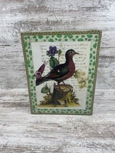 John Derian Vases | eBay