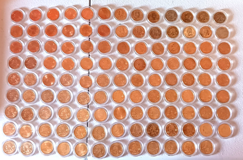 Gold Toned Quarters State Territories Individual Cases Uncirculated 116 Quarters