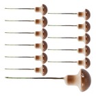  Mini Mushroom Bonsai Miniature Mushrooms Craft Baby Fairy Cake Topper