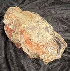 Petrified Wood Slab - Rough Edge Slab, Brown Orange Gray Colors — photo 1