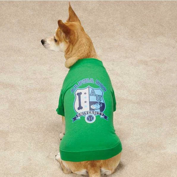 Zack Zoey Alpha Dog University Dog T Shirt Tee Green Pet Top Clothing