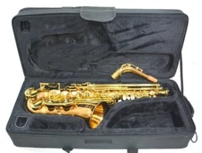 YANAGISAWA A-WO2 Alto Saxophone with Mouthpiece
