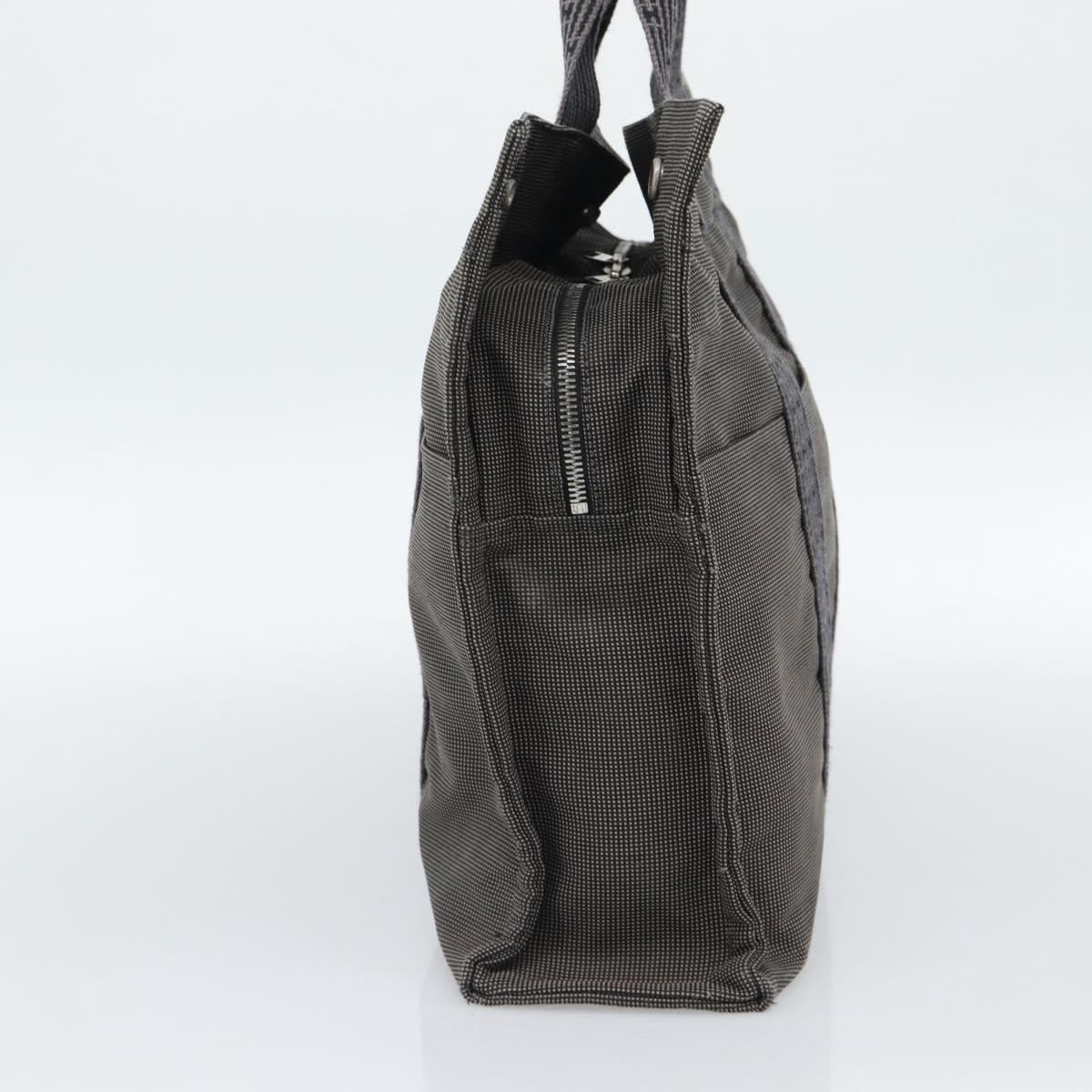 HERMES Her Line MM Hand Bag Canvas Gray Silver Auth 189685 image 3
