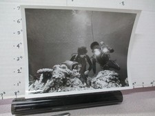 ABC TV show photo 1970s Undersea World Jacques COUSTEAU chambered nautilus 