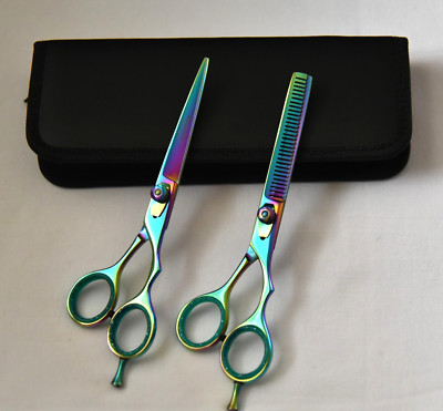 Professional Hair Cutting & Thinning Scissors Set,Barber Salon Shears 6.0''