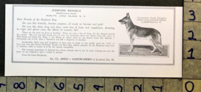 1929 DOG BREED GERMAN SHEPHERD ARKO VON SADOWABERG JESSFORD KENNEL AD FC8523