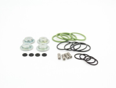 Reparatursatz Injektor Landi Renzo Evo I-Plus 674915000 Silber GPL