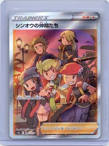 Pokemon Friends in Sinnoh | eBay