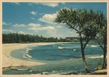 Hawaii Mouth the Wailua River,Kauai,HI,Coco Palms Hotel Larry Witz Postcard