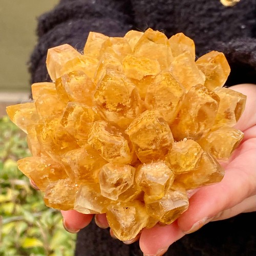 1.19LB Natural best yellow crystal ore cluster flower healing specimen - 第 3/12 張圖片