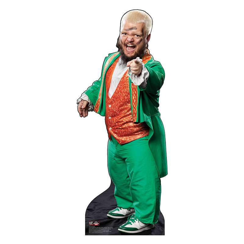 HORNSWOGGLE WWE Wrestler Leprechaun Lifesize CARDBOARD CUTOUT Standup Standee 82033001858 eBay