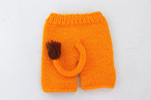 Lion Crochet Knit Newborn Baby Girls Boys Costume Photo Photography Prop Outfits - Picture 2 of 7