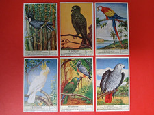 6 LIEBIG CARDS S-1621  DE PAPEGAAI   1954  ++
