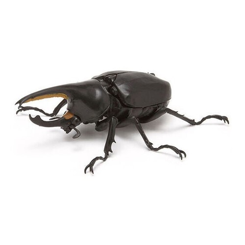 Ikimono Encyclopedia Kabutomushi 03 alle 6 Typen Set Bandai Kapsel Spielzeug von Jp - Bild 7 von 10
