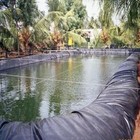 Picture 5 of 7