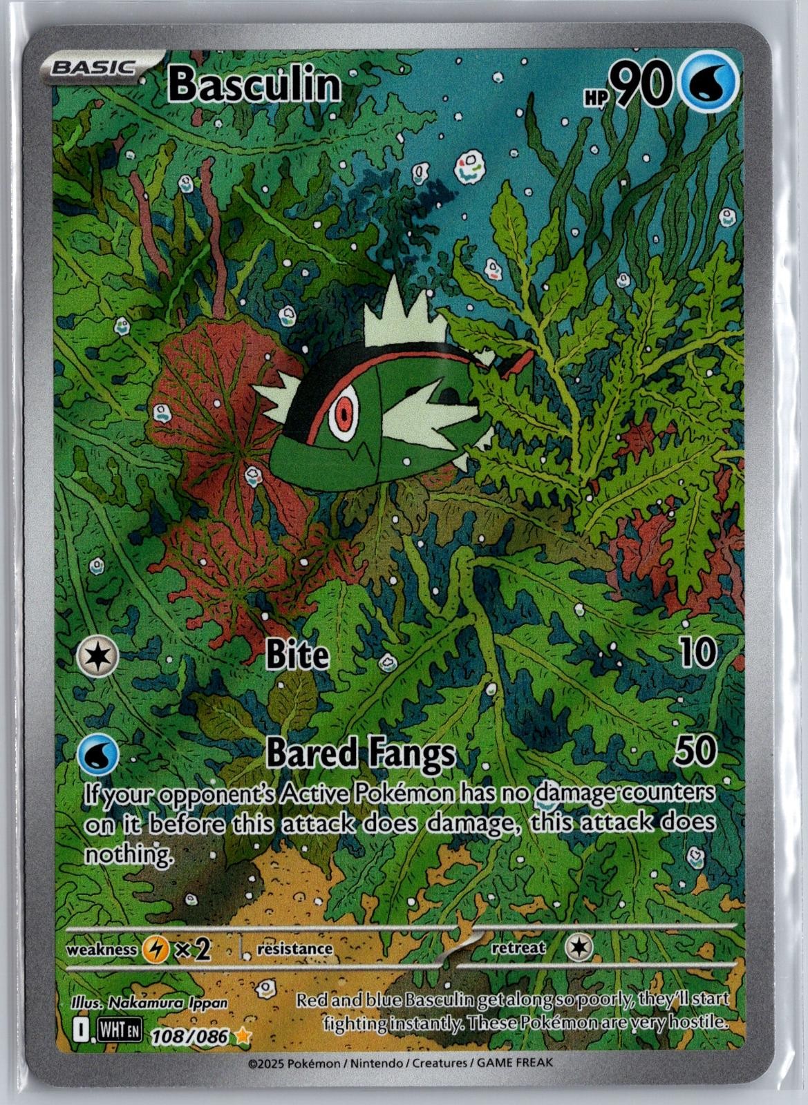 BASCULIN 108/086 Illustration Rare White Flare Pokemon HOLO Near Mint