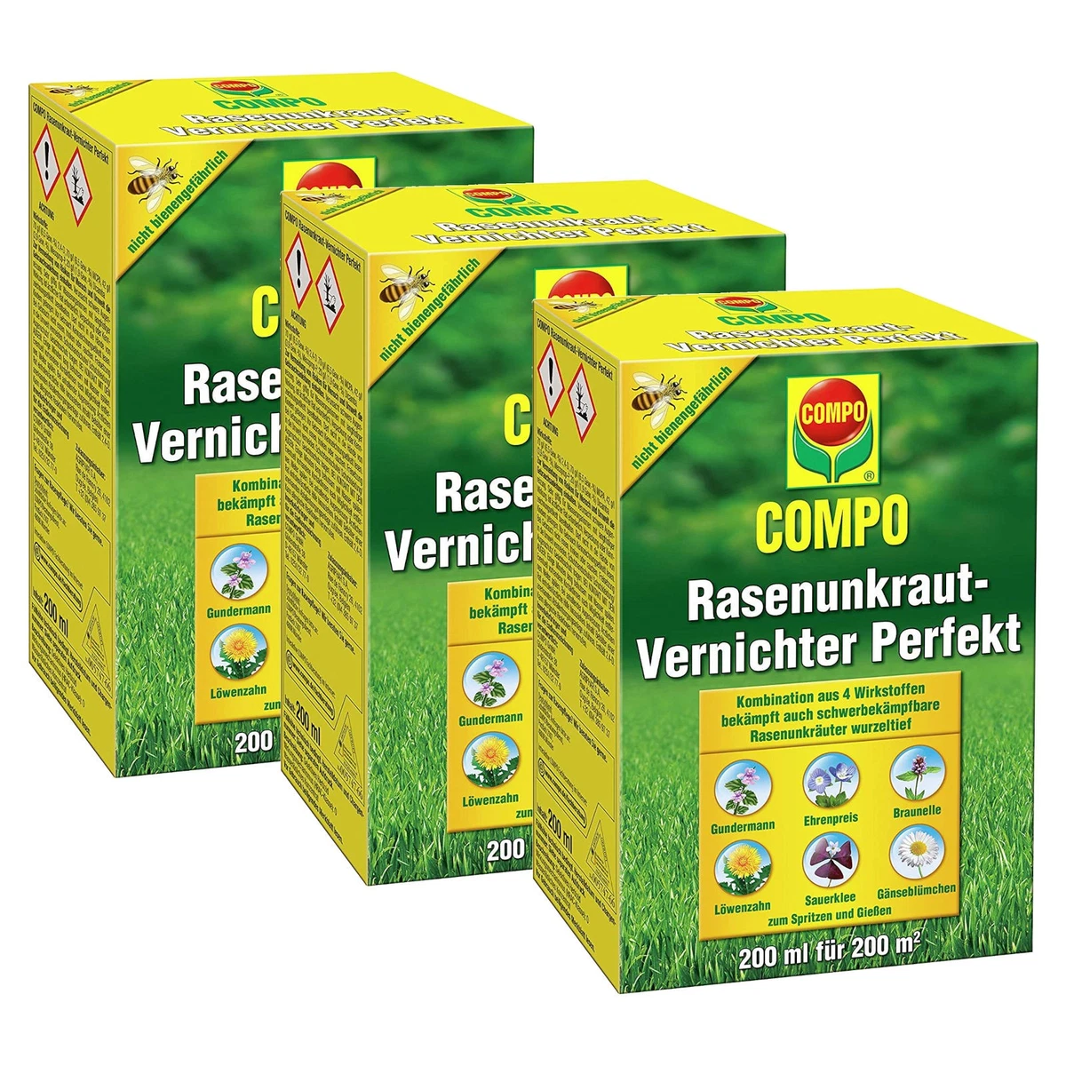 vitelotte saatgut kaufen BIO-Saatgut-Set 