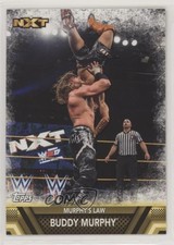 2017 Topps WWE Then Now Forever Finishers and Signature Moves Buddy Murphy 0w8