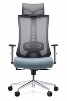 Ergonomischer BüRostuhl Mit Mesh-RüCken Und Blauer SitzfläChe