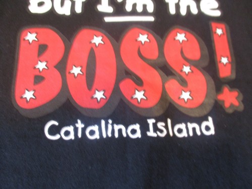 T-SHIRT BOYS GIRLS CATALINA ISLAND SIZE XL/EG PLAYERYTEES "I'M THE BOSS" #P2 - Picture 9 of 12