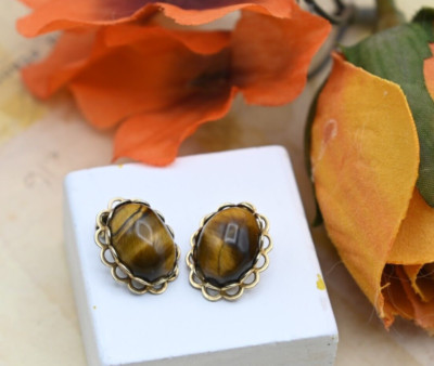 Vintage Petite Genuine Tiger's Eye Cabochon Gold Tone Oval Clip Earrings