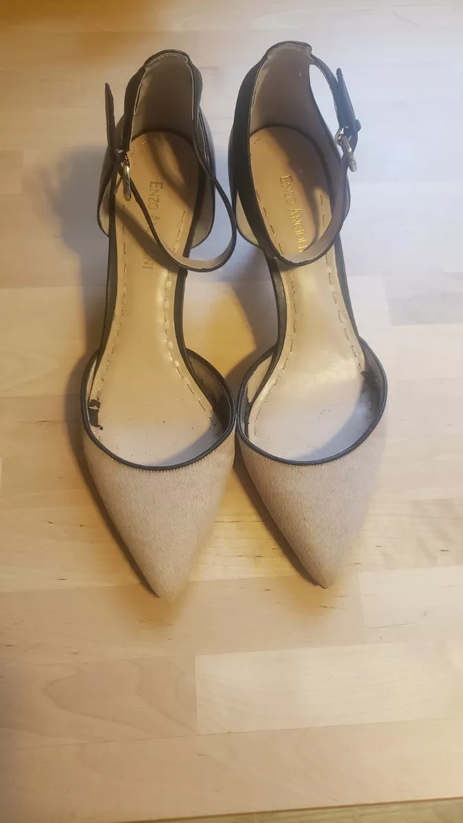 Enzo angiolini website 2025