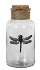 Creative Co-op DA3456 Dragonfly Glass Bottle with Cork Stopper 6-3/4" Tall