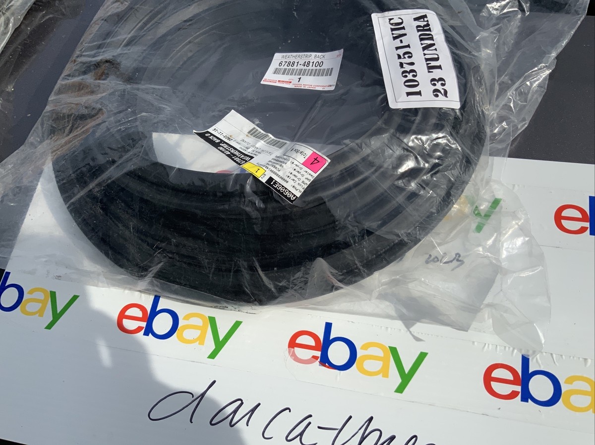 2021-2025 Toyota Venza Back Door Hatch Seal Weatherstrip 67881