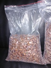 3 kg Bucheckern &ndash; Eichh&ouml;rnchenfutter &ndash; Rotbuche Fagus sylvatica &ndash; handverlesen