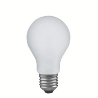 Paulmann GlüHbirne Birnenform 100W E27 Matt Satin StoßFest GlüHlampe Dimmbar