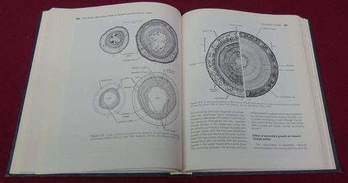 Anatomy of Seed Plants 2nd Ed.Katherine Esau FIRST EDITION PRINT 1977 Rare - Picture 4 of 5
